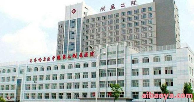 黑龙江省电力医院官网是什么_简介_专家挂号