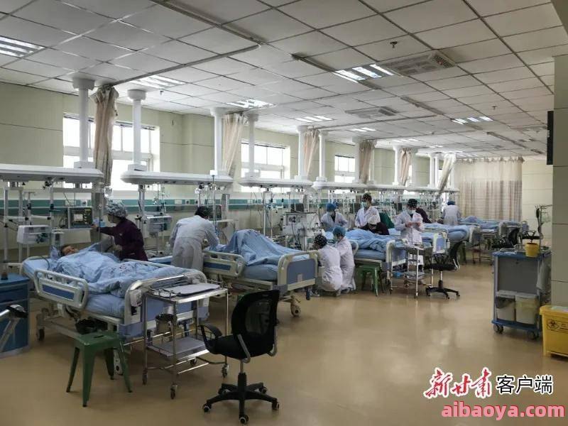 临洮县人民医院医生预约挂号_出诊时间