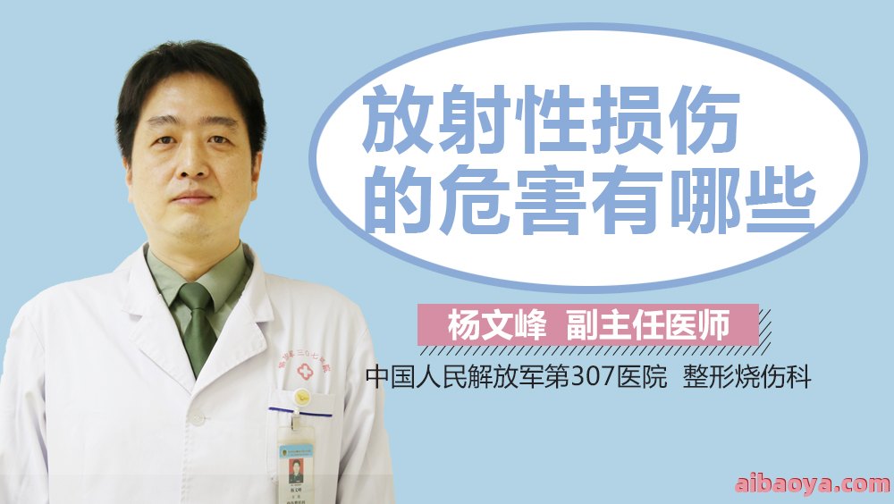 人民解放军医院医生预约挂号_出诊时间