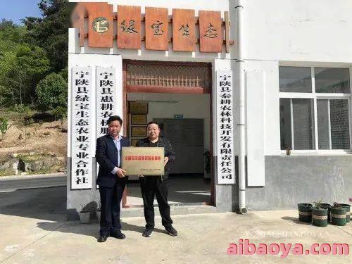 庆城县岐伯中医院_地址_电话_专家挂号