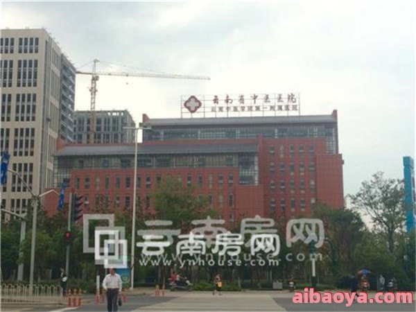云南省交通中心医院官网是什么_简介_专家挂号