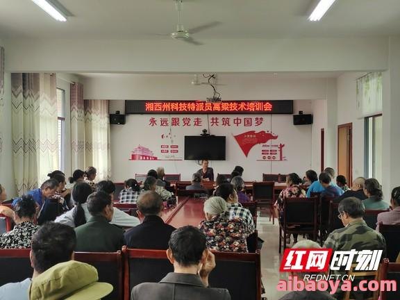 慈利县中医院官网是什么_简介_专家挂号