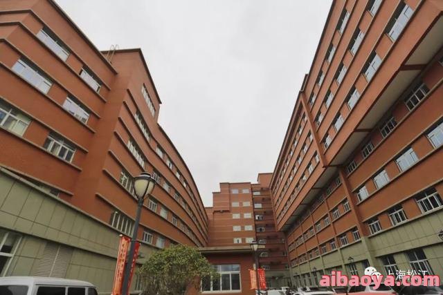 上海市松江区中心医院官网是什么_简介_专家挂号