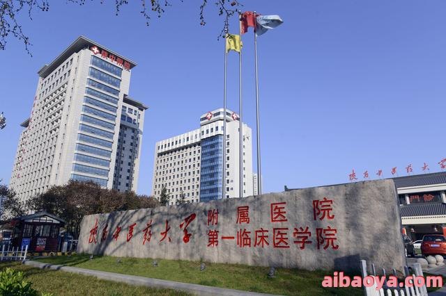 巴林左旗中蒙医院_地址_电话_专家挂号