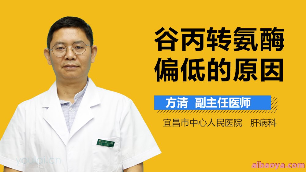 叶县第二人民医院医生预约挂号_出诊时间 叶县第二人民医院医生预约挂号_出诊时间