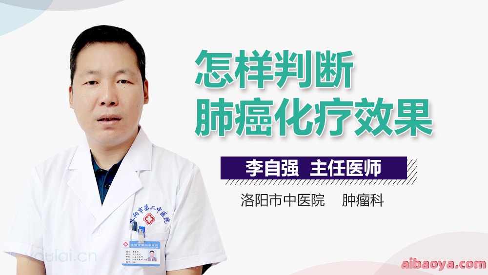 赵县人民医院医生预约挂号_出诊时间