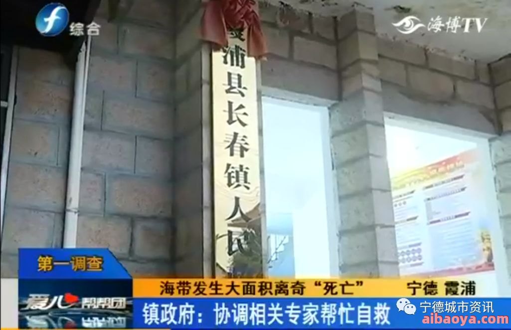 宁德市中医院官网是什么_简介_专家挂号