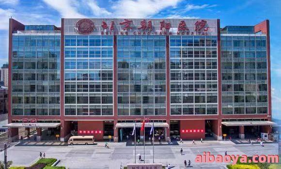 北京市朝阳区第二医院官网是什么_简介_专家挂号
