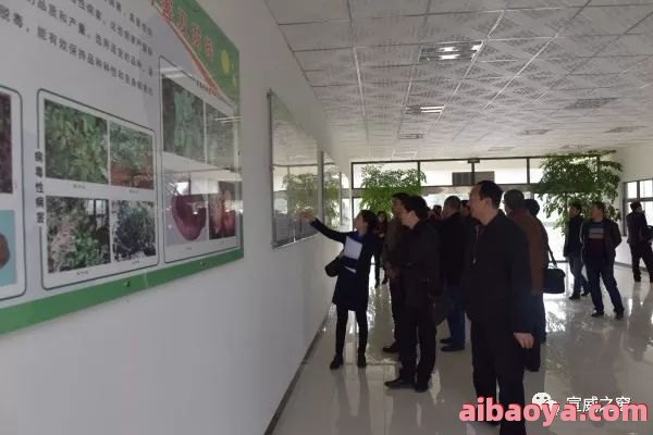 鹤岗矿业集团总医院官网是什么_简介_专家挂号
