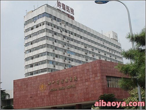四川省公路局医院官网是什么_简介_专家挂号