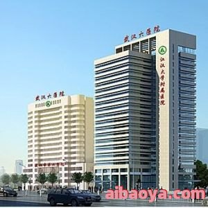 武汉市第六医院医生预约挂号_出诊时间